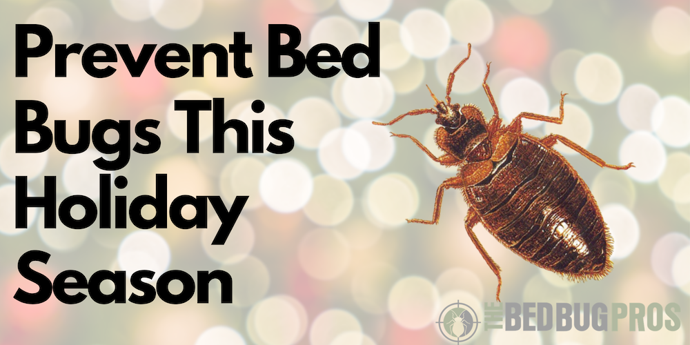 Prevent Bed Bugs This Holiday Season